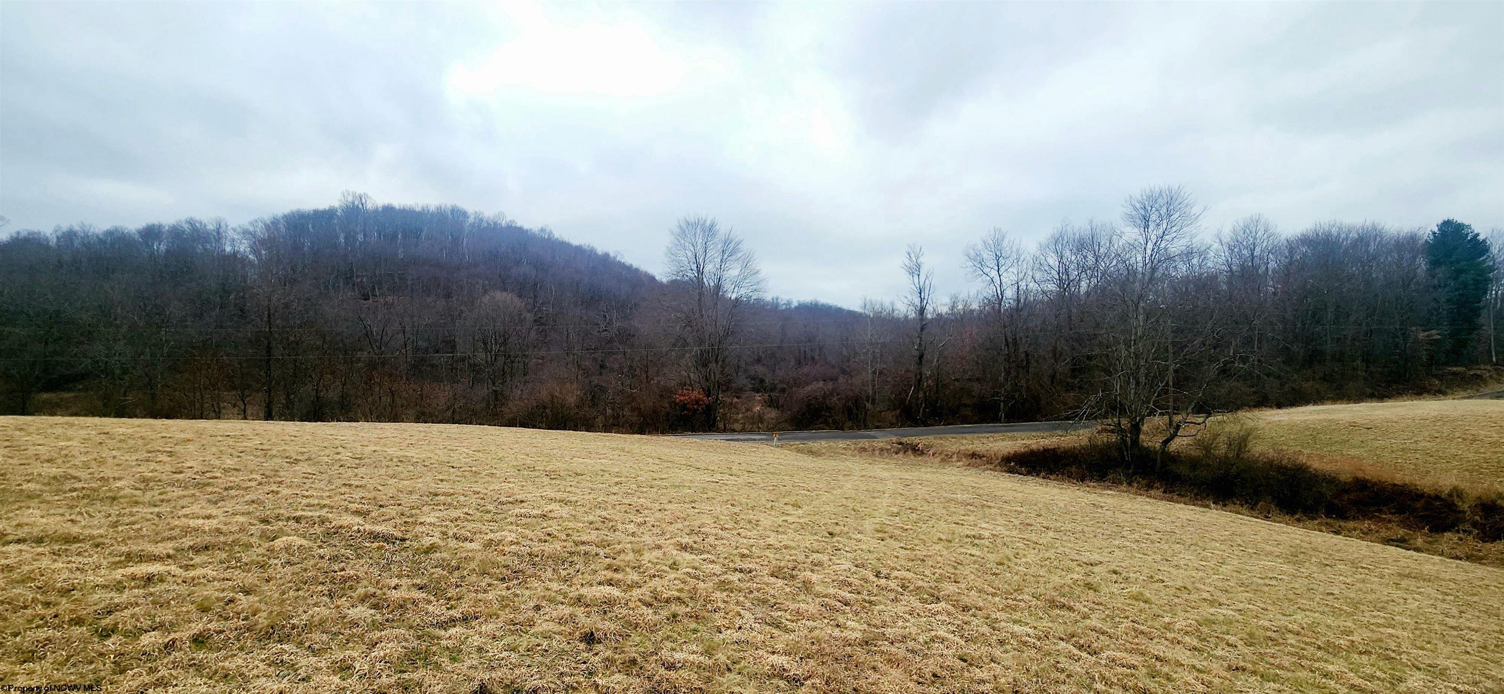 Tbd Tbd Strolling Fairmont, WV 26554 - Photo 9 of 15 Gallery Image 9
