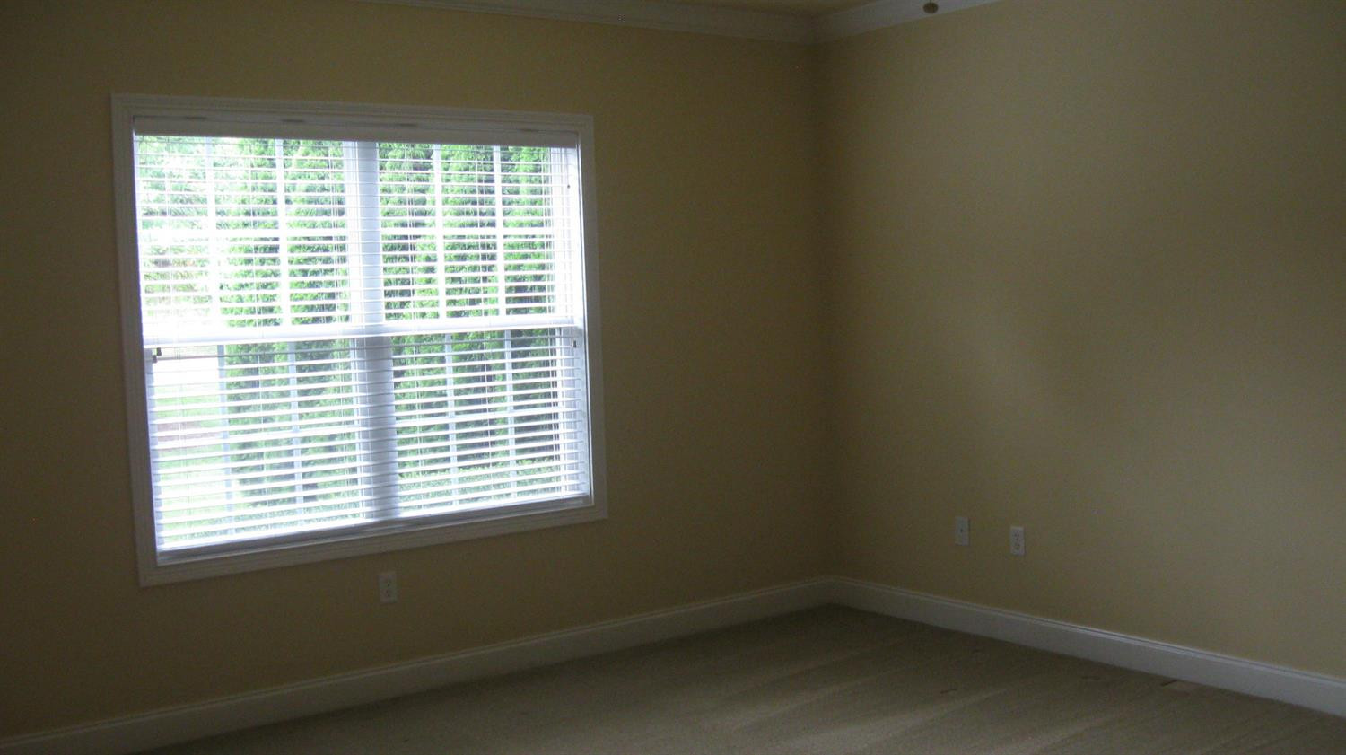 3450 Rabbits Foot Trail Lexington, KY 40503 - Photo 16 of 29 Photo 18