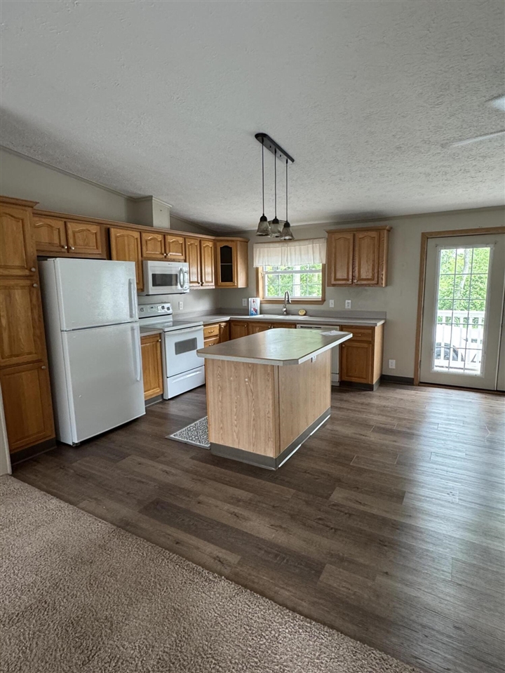 818 Raisin River Road Three Rivers, MI 49093 - Photo 3 of 26
