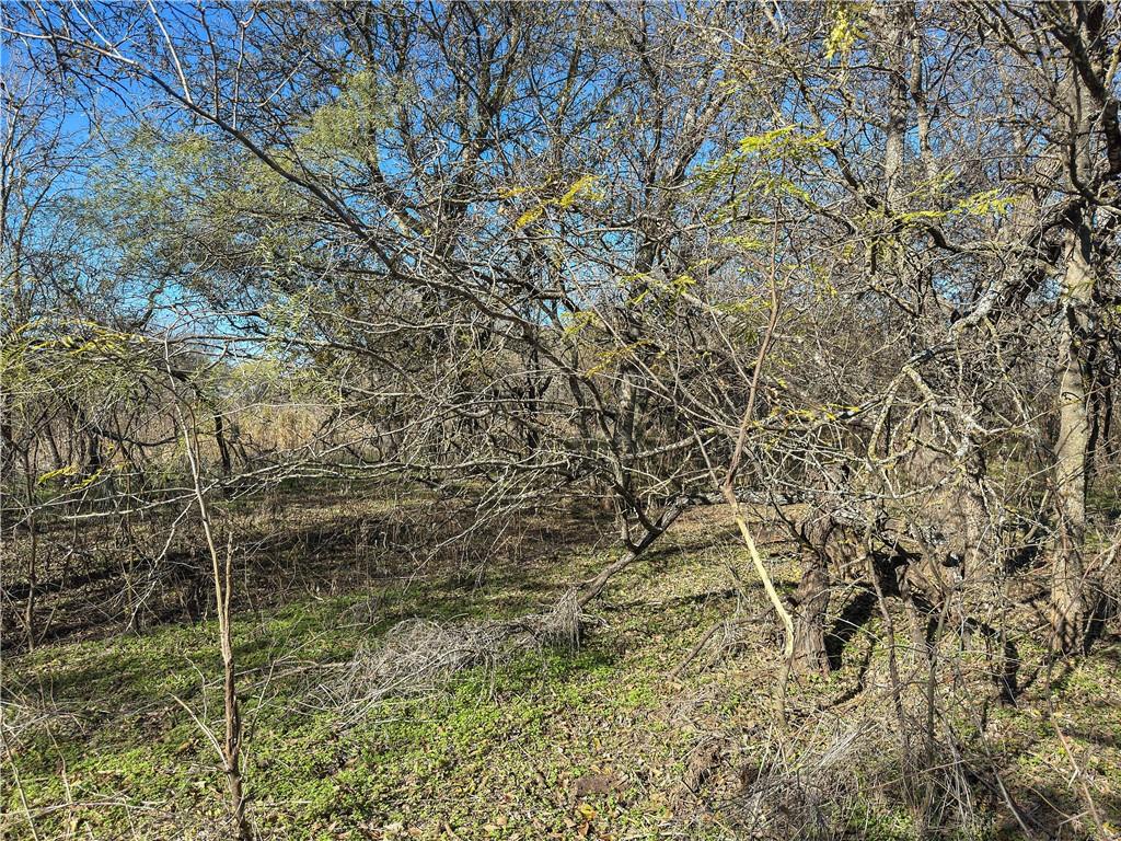 6 Talbert Ranch Road China Spring, TX 76633 - Photo 19 of 27 Gallery Image 19
