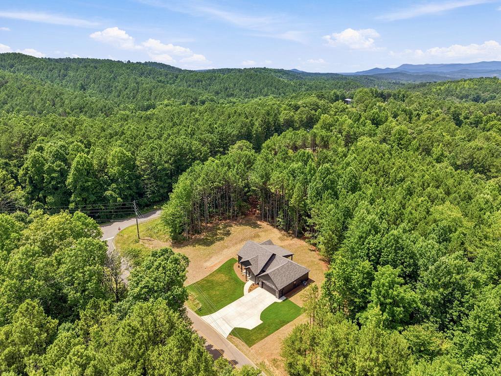 4016 Carver Mill Road Talking Rock, GA 30175 - Photo 37 of 44