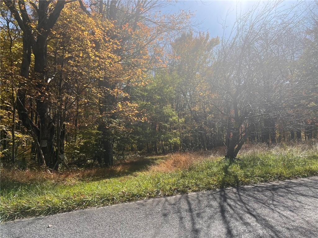 45-acres 45-acres Along Ridge Road Homer City, PA 15748 - Photo 2 of 25