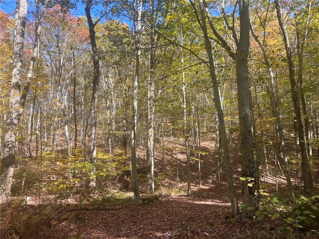 45-acres 45-acres Along Ridge Road Homer City, PA 15748 - Photo 24 of 25