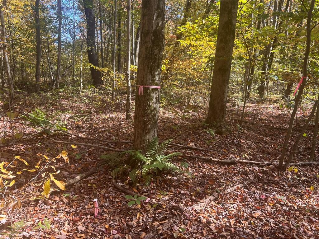 45-acres 45-acres Along Ridge Road Homer City, PA 15748 - Photo 4 of 25