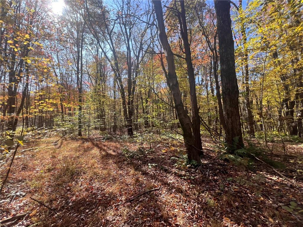 45-acres 45-acres Along Ridge Road Homer City, PA 15748 - Photo 5 of 25