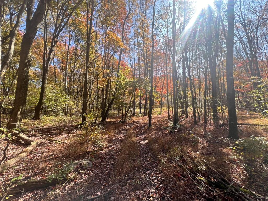 45-acres 45-acres Along Ridge Road Homer City, PA 15748 - Photo 6 of 25