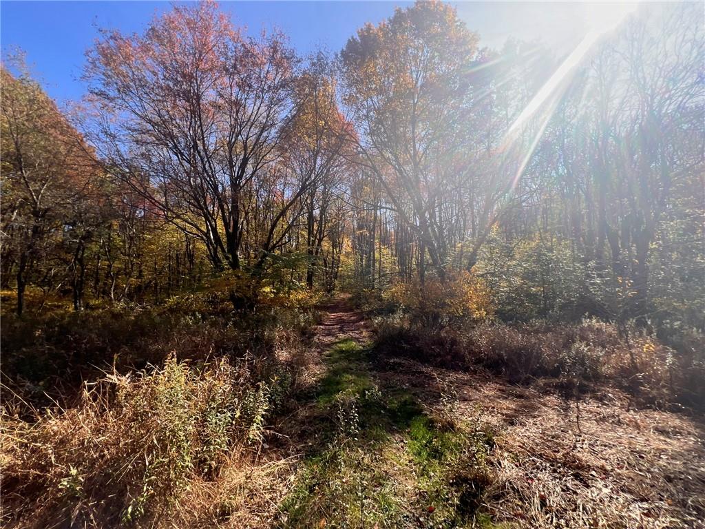 45-acres 45-acres Along Ridge Road Homer City, PA 15748 - Photo 7 of 25