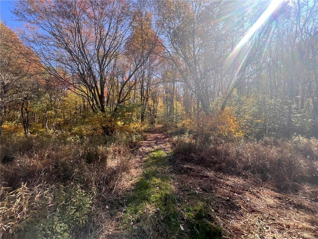 45-acres 45-acres Along Ridge Road Homer City, PA 15748 - Photo 8 of 25