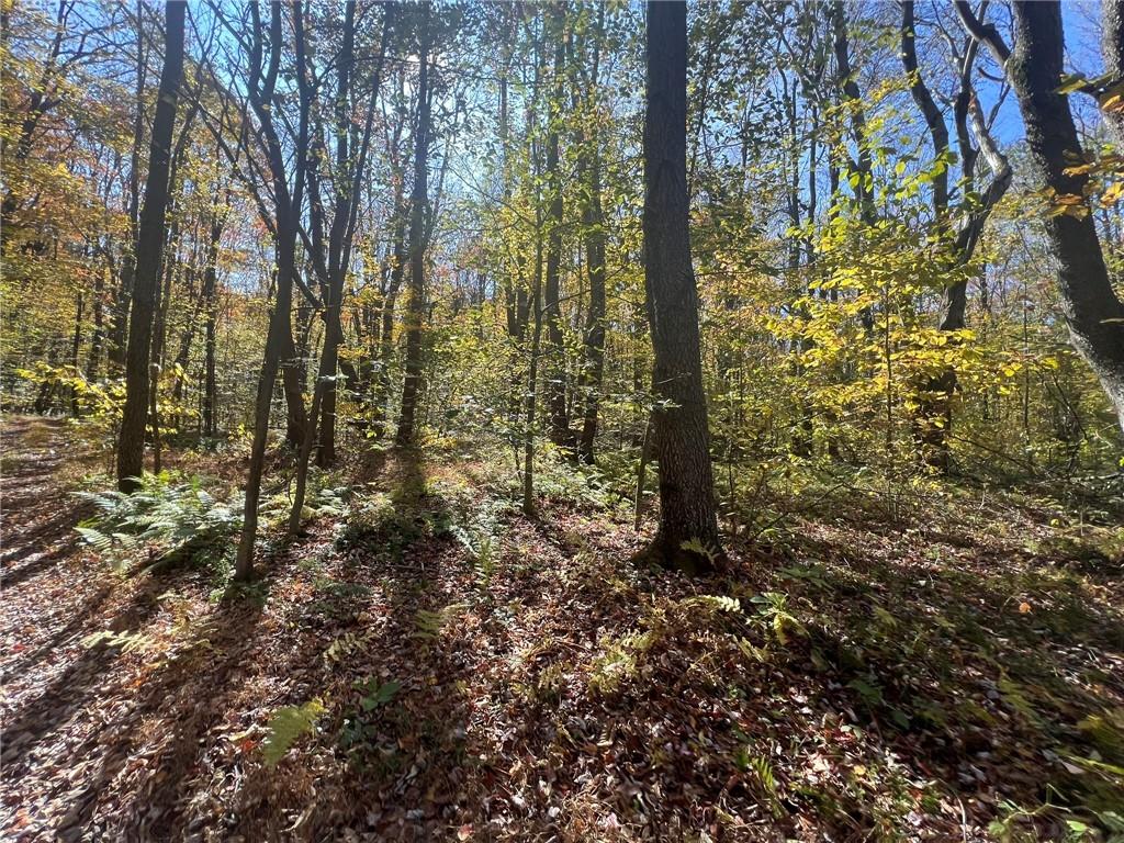 45-acres 45-acres Along Ridge Road Homer City, PA 15748 - Photo 10 of 25