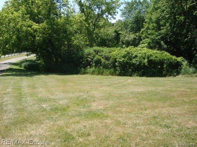 5780 Ormond Road Davisburg, MI 48350 - Photo 4 of 23 VIEW FROM PORCH