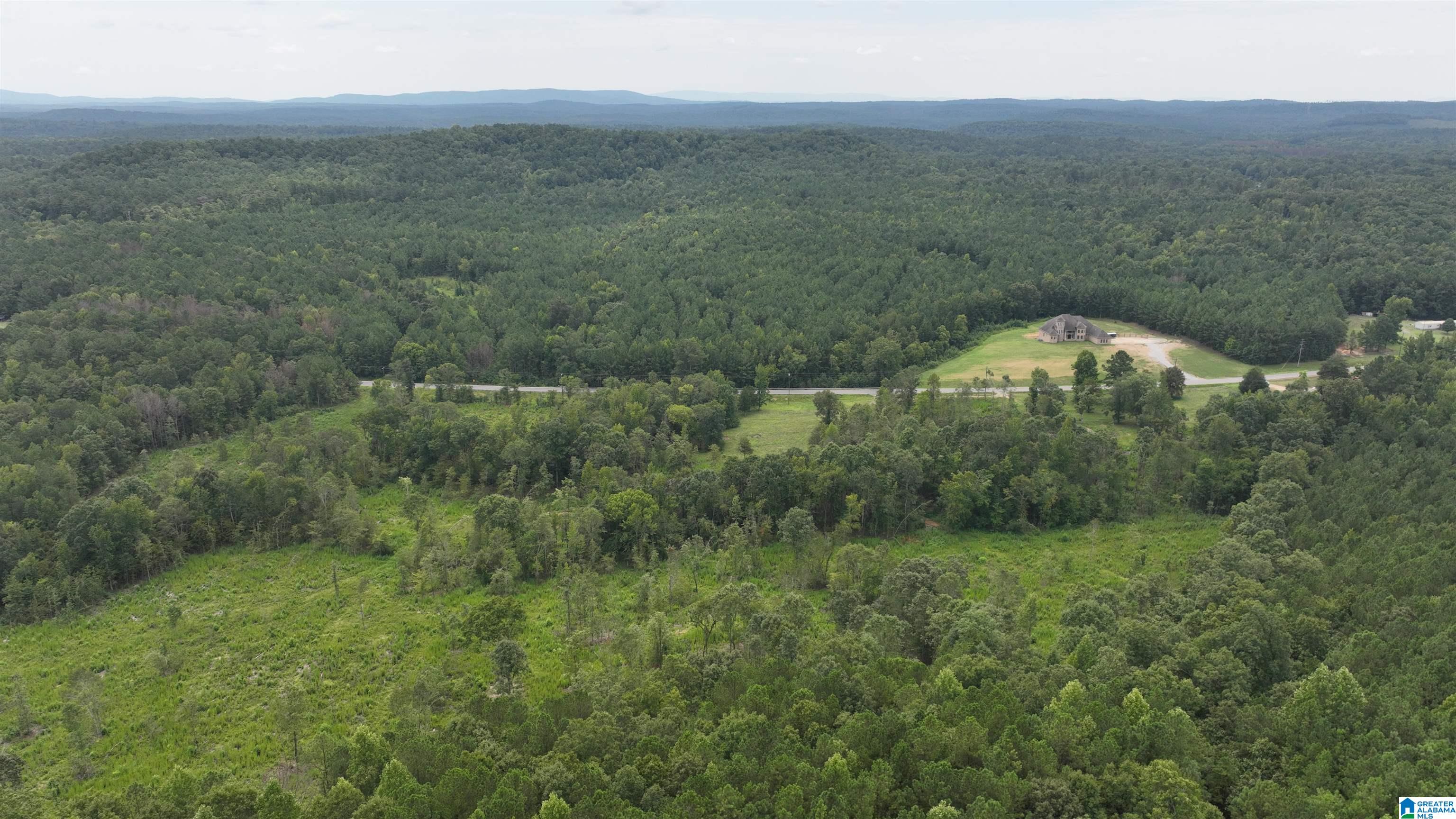 0 Boiling Springs Road Ohatchee, AL 36271 - Photo 6 of 8