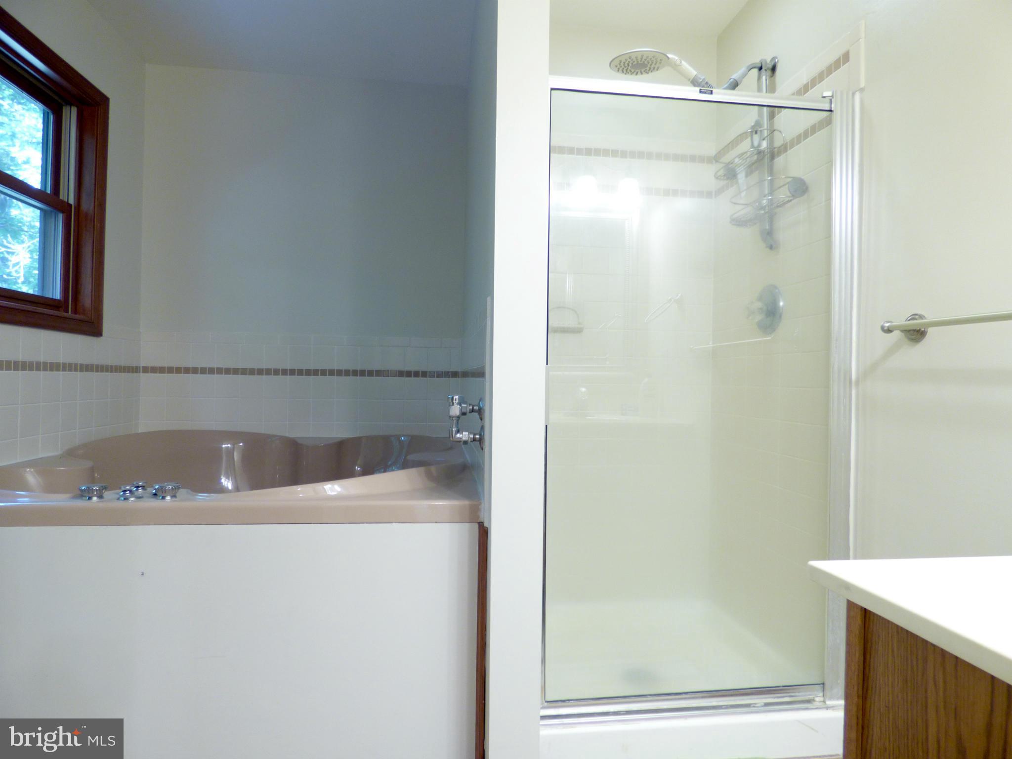 13012 Forest Drive Bowie, MD 20715 - Photo 16 of 23 Bath (Master)