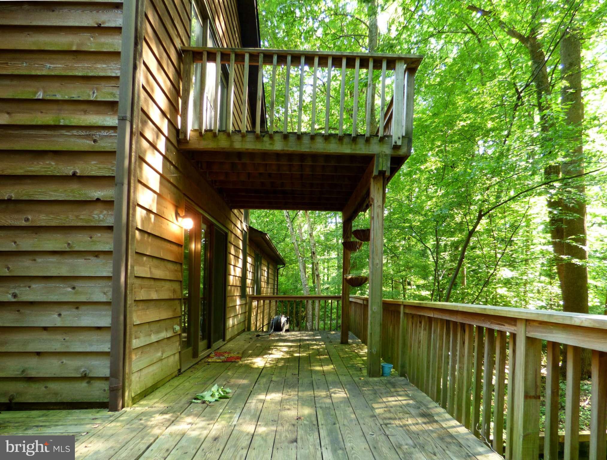 13012 Forest Drive Bowie, MD 20715 - Photo 21 of 23 Exterior (Rear)