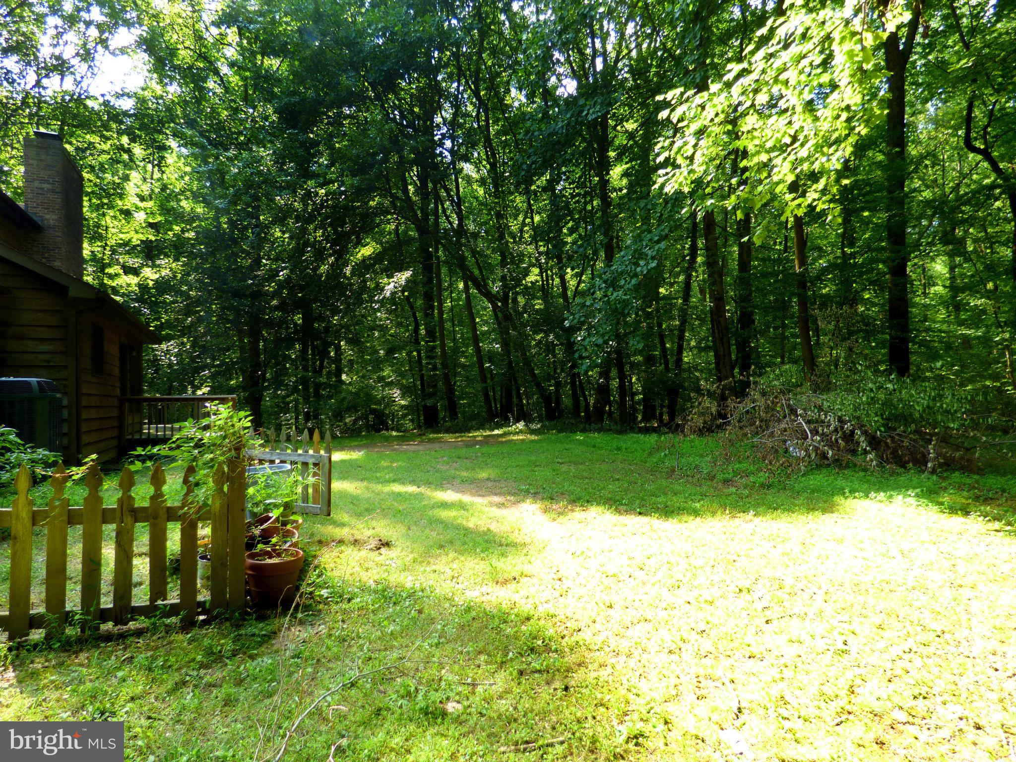 13012 Forest Drive Bowie, MD 20715 - Photo 22 of 23 Exterior (Rear)