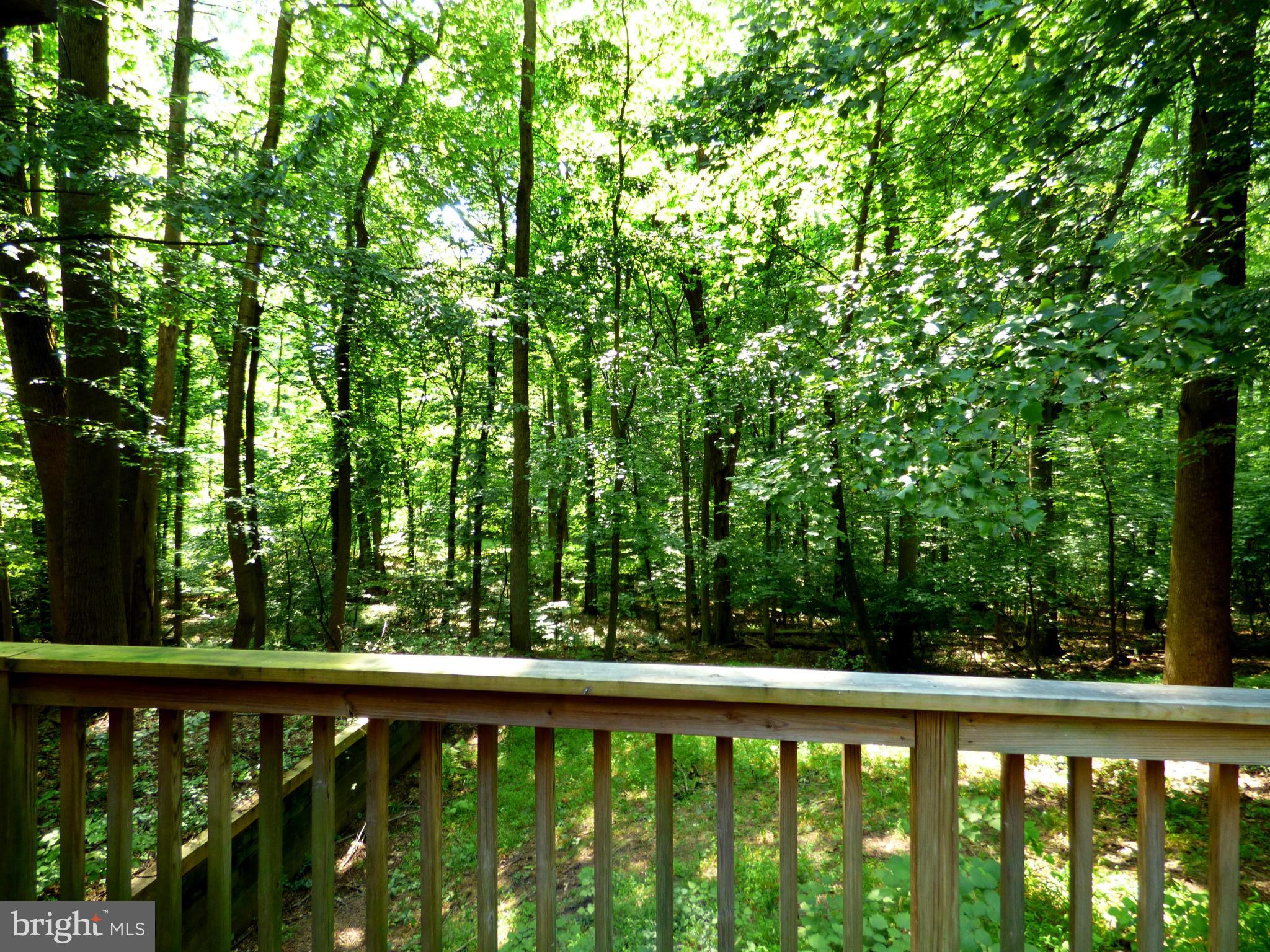 13012 Forest Drive Bowie, MD 20715 - Photo 23 of 23 View