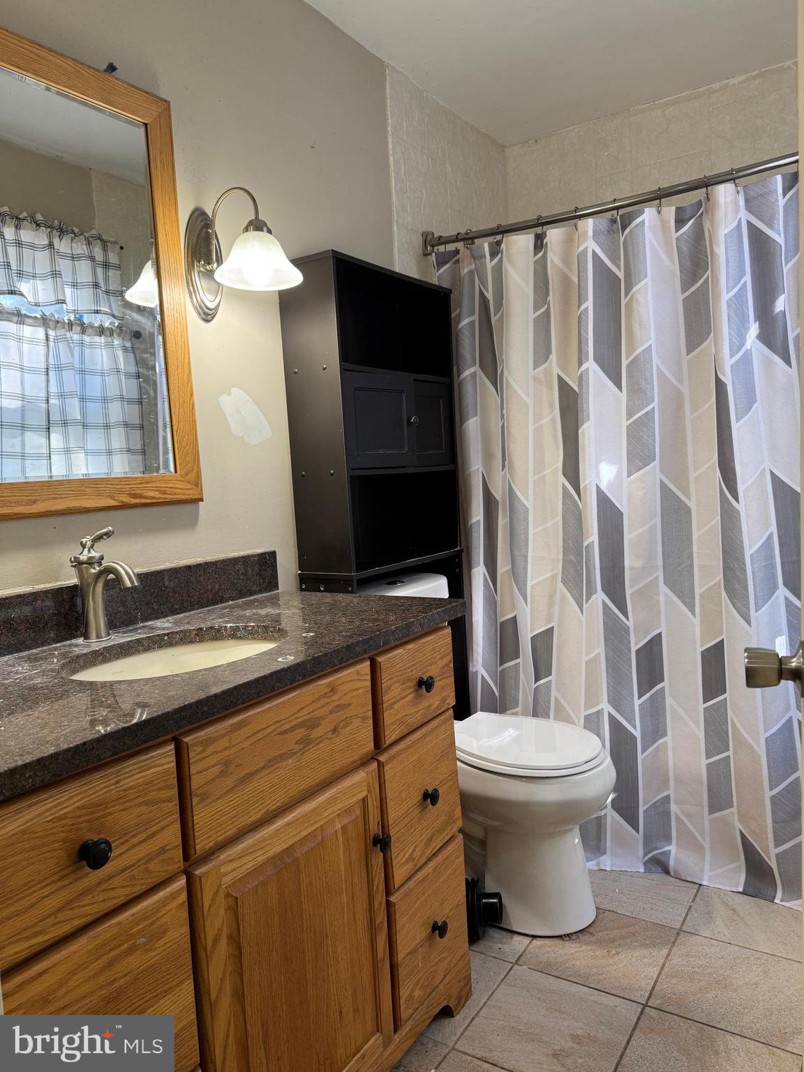 31939 Downing Road Delmar, MD 21875 - Photo 20 of 34 a bathroom with a sink toilet a mirror and shower curtain