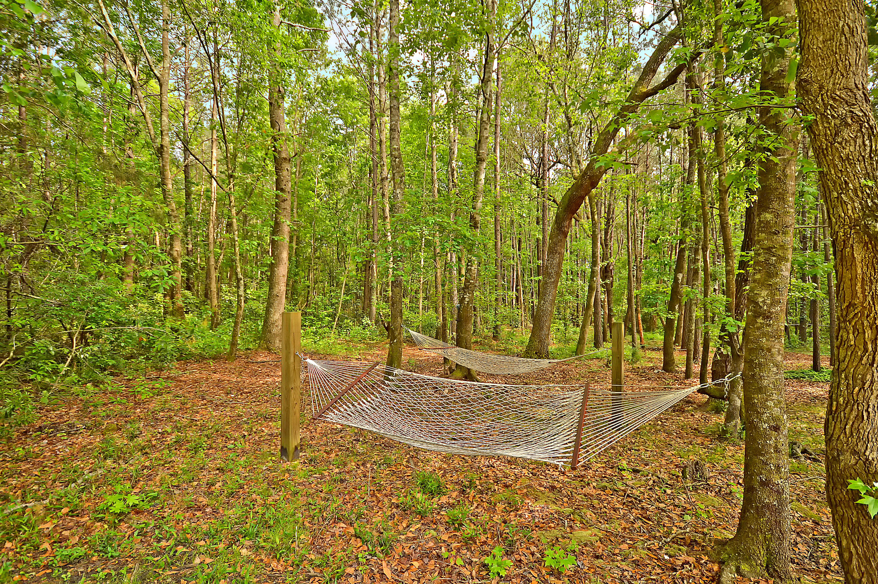 149 Ashley Bluffs Road Summerville, SC 29485 - Photo 27 of 38 Tranquility