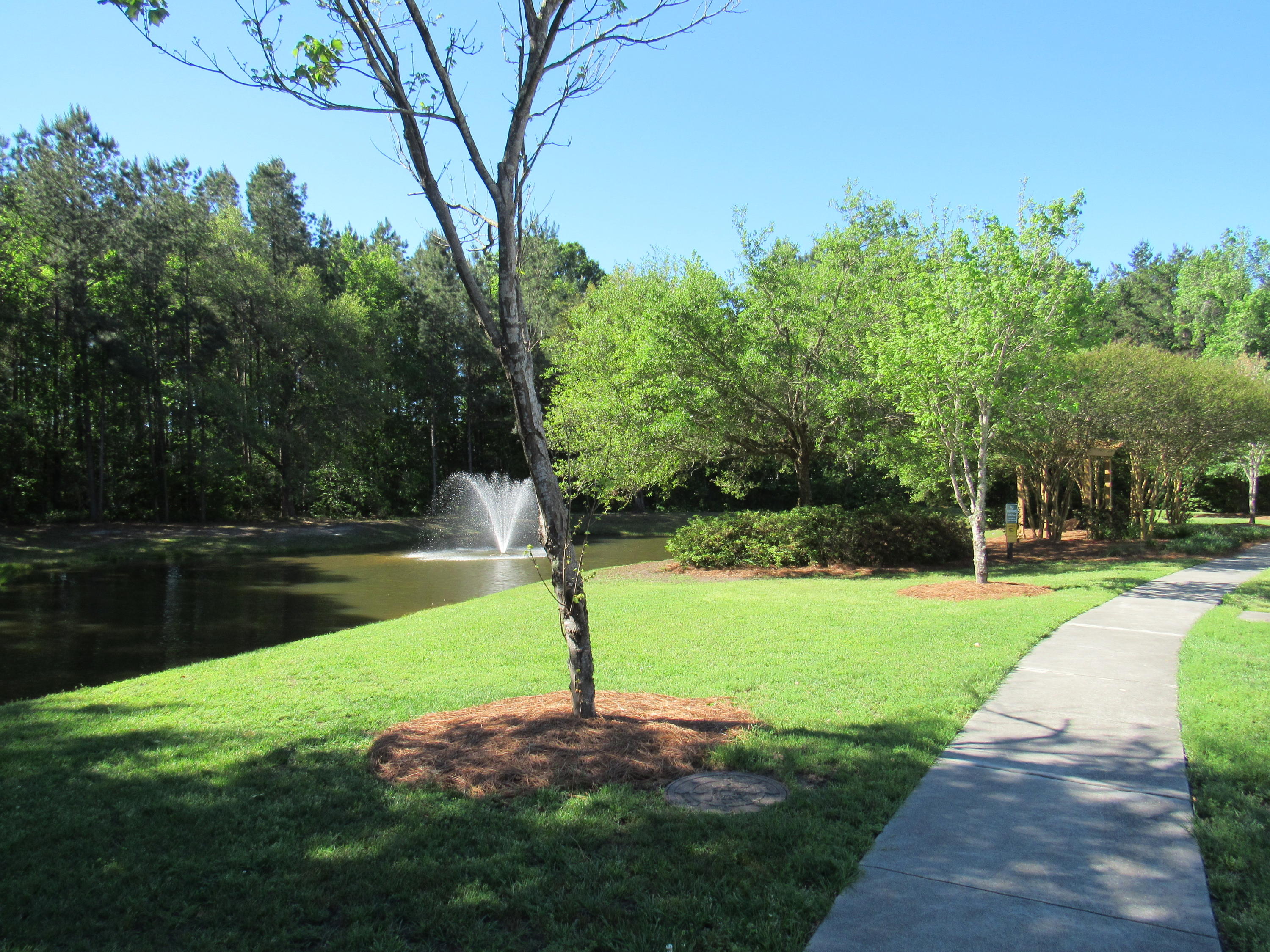 149 Ashley Bluffs Road Summerville, SC 29485 - Photo 35 of 38 Sidewalks & Ponds