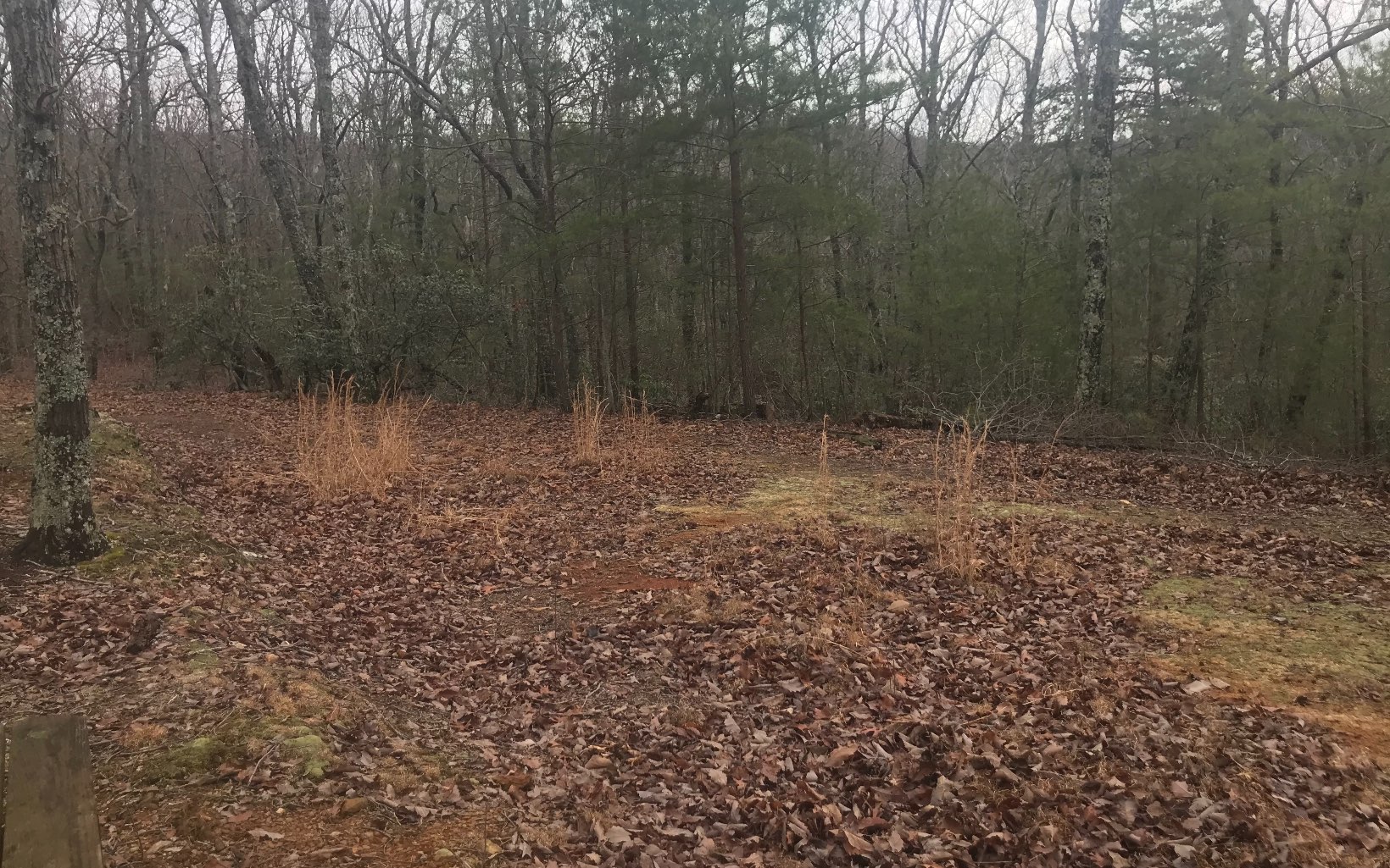 13 Ac Jasper, GA 30143 - Photo 2 of 2 Additional View