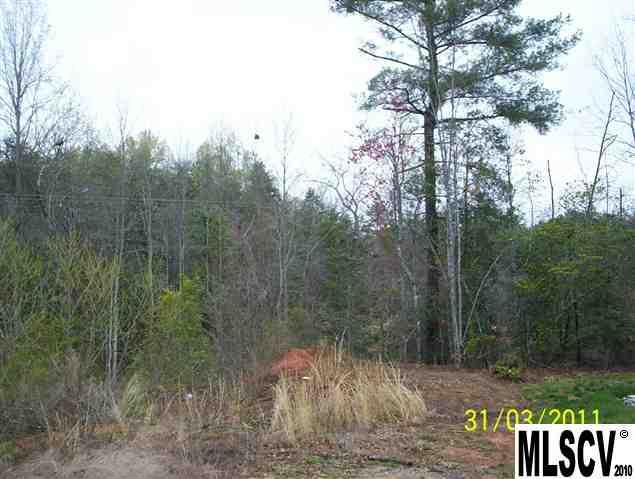 295 Cape Hickory Road Hickory, NC 28601 - Photo 3 of 3 Gallery Image 3