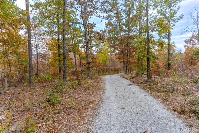 $41,090 | 0 Hwy Jj (tract 1) Marquand Mo 63655, Marquand, MO 63655