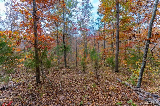 $41,090 | 0 Hwy Jj (tract 1) Marquand Mo 63655, Marquand, MO 63655