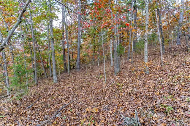 $41,090 | 0 Hwy Jj (tract 1) Marquand Mo 63655, Marquand, MO 63655