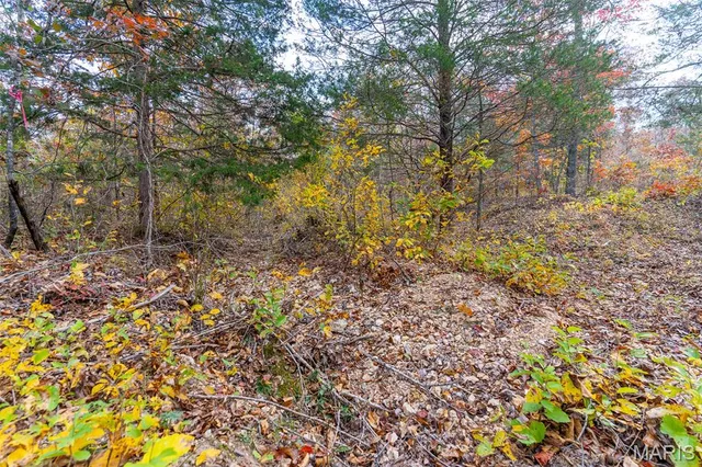 $41,090 | 0 Hwy Jj (tract 1) Marquand Mo 63655, Marquand, MO 63655