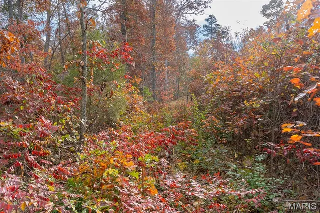 $41,090 | 0 Hwy Jj (tract 1) Marquand Mo 63655, Marquand, MO 63655