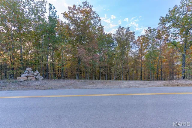 $41,090 | 0 Hwy Jj (tract 1) Marquand Mo 63655, Marquand, MO 63655