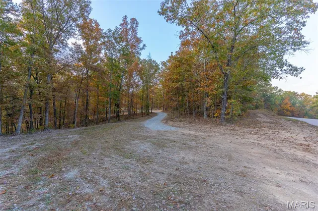 $41,090 | 0 Hwy Jj (tract 1) Marquand Mo 63655, Marquand, MO 63655