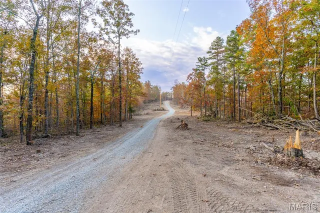 $41,090 | 0 Hwy Jj (tract 1) Marquand Mo 63655, Marquand, MO 63655