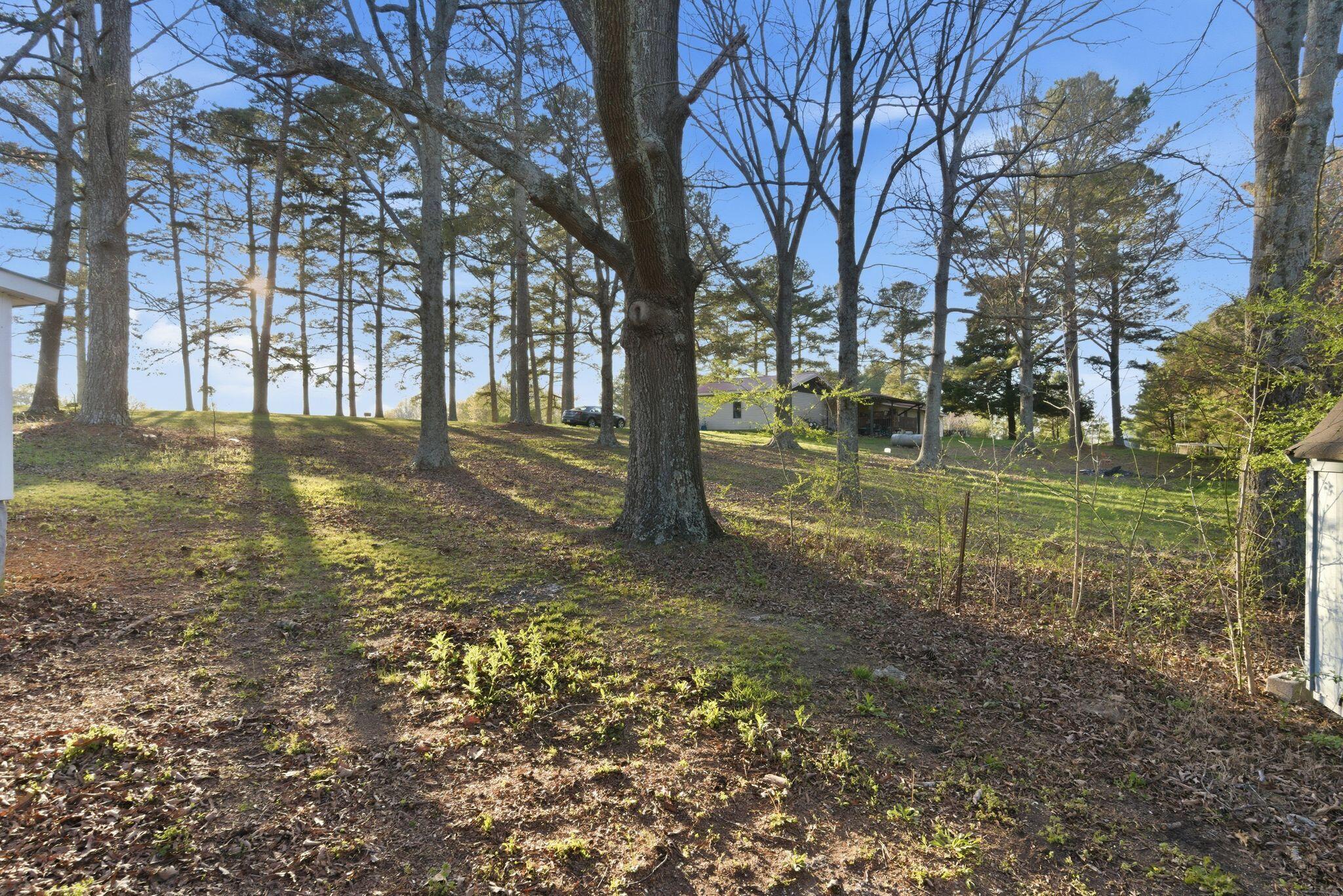 15170 Highway 75 Henagar, AL 35978 - Photo 24 of 26 br2603231-1026
