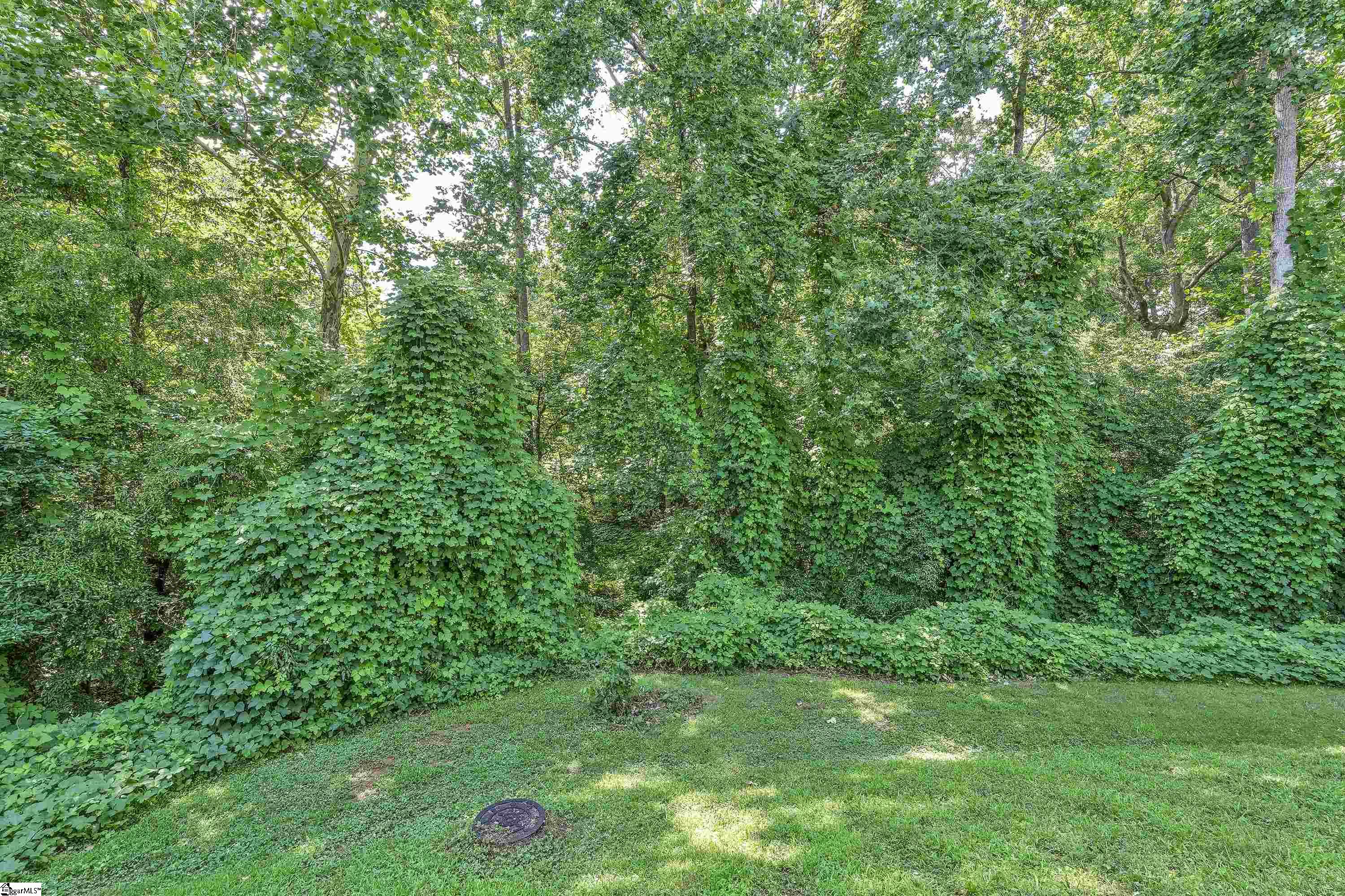 315 Timber Trail Greer, SC 29651 - Photo 24 of 31