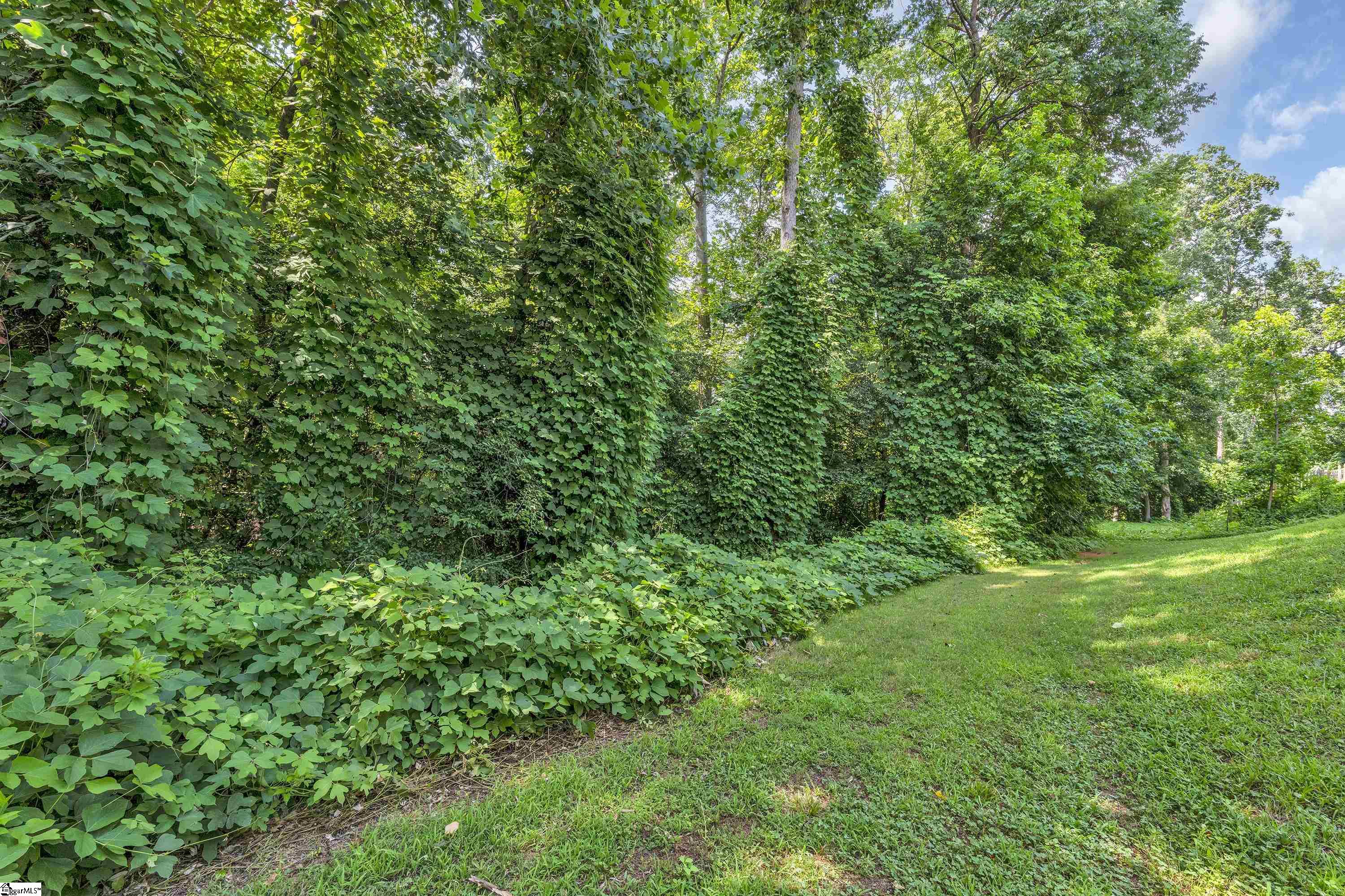 315 Timber Trail Greer, SC 29651 - Photo 26 of 31