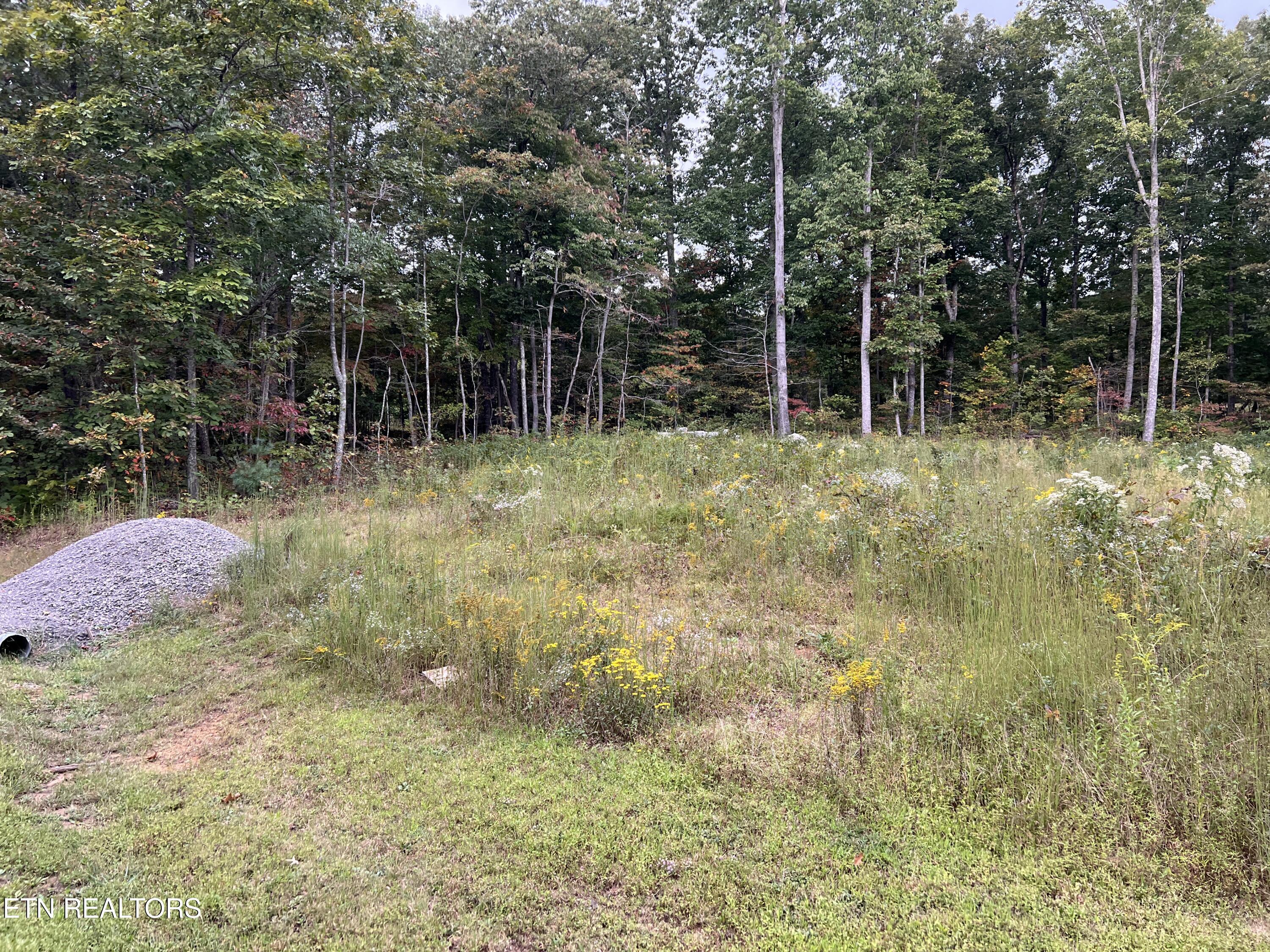 East Ridge Drive Crossville, TN 38571 - Photo 2 of 4 IMG_7770