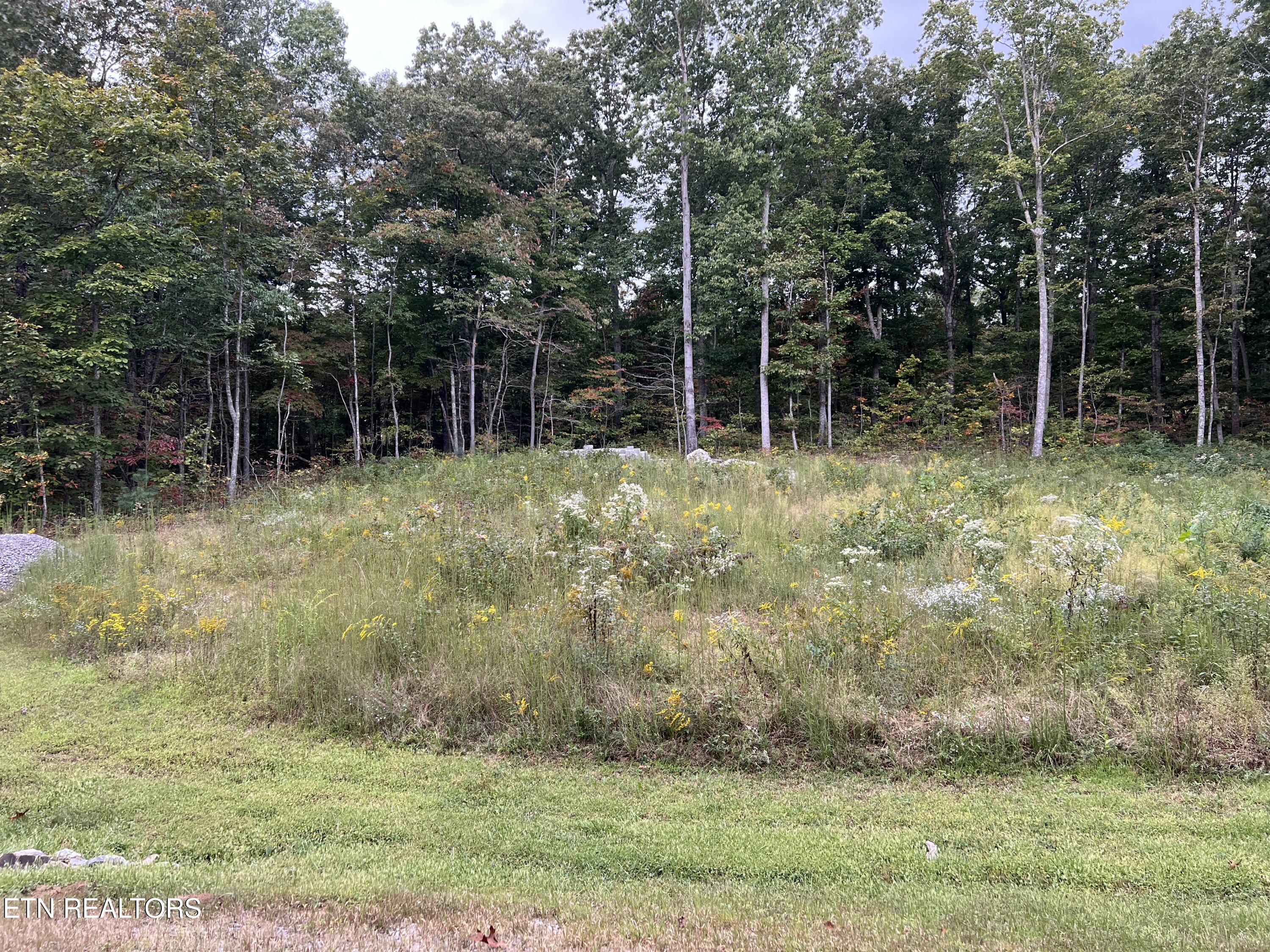 East Ridge Drive Crossville, TN 38571 - Photo 3 of 4 IMG_7771