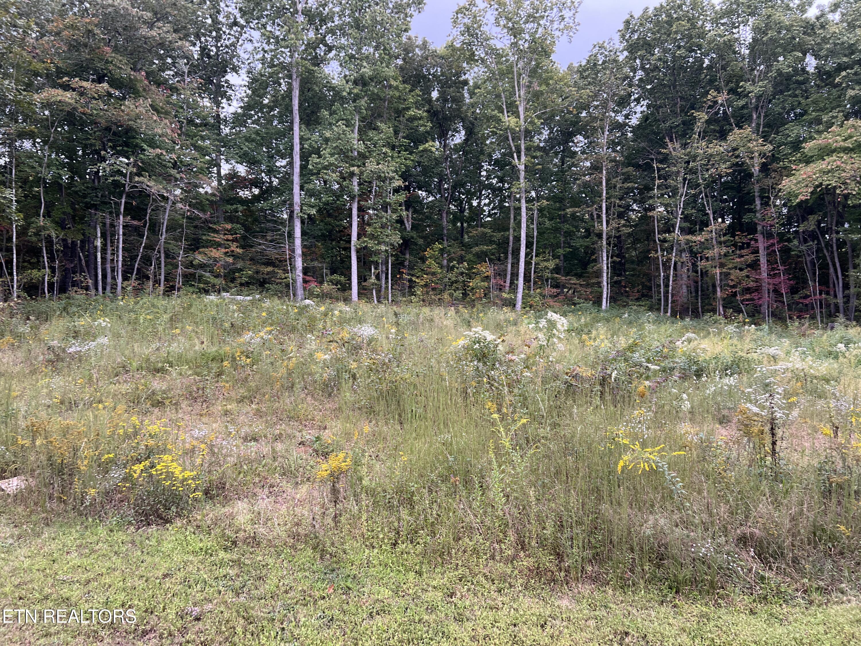 East Ridge Drive Crossville, TN 38571 - Photo 4 of 4 IMG_7769