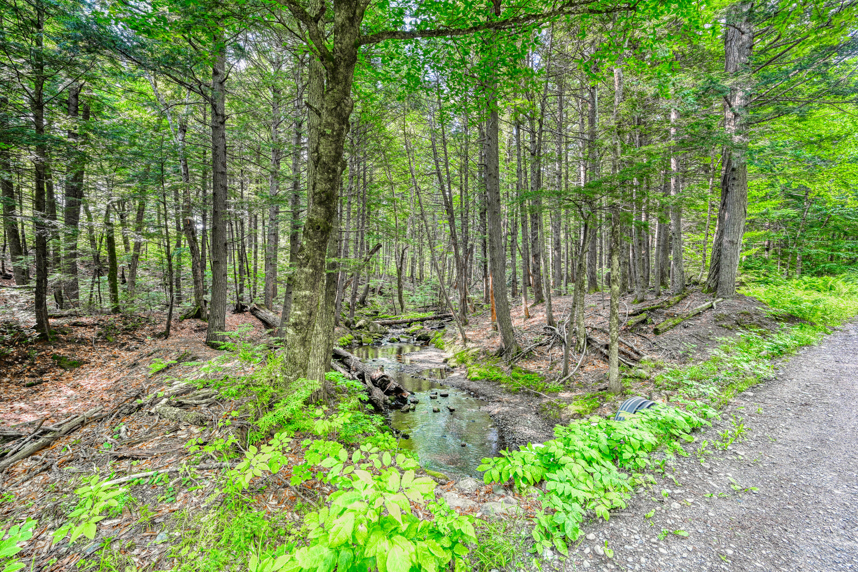 Lot 39 Tims Cove Road Willimantic, ME 04443 - Photo 7 of 17 110091gr-106
