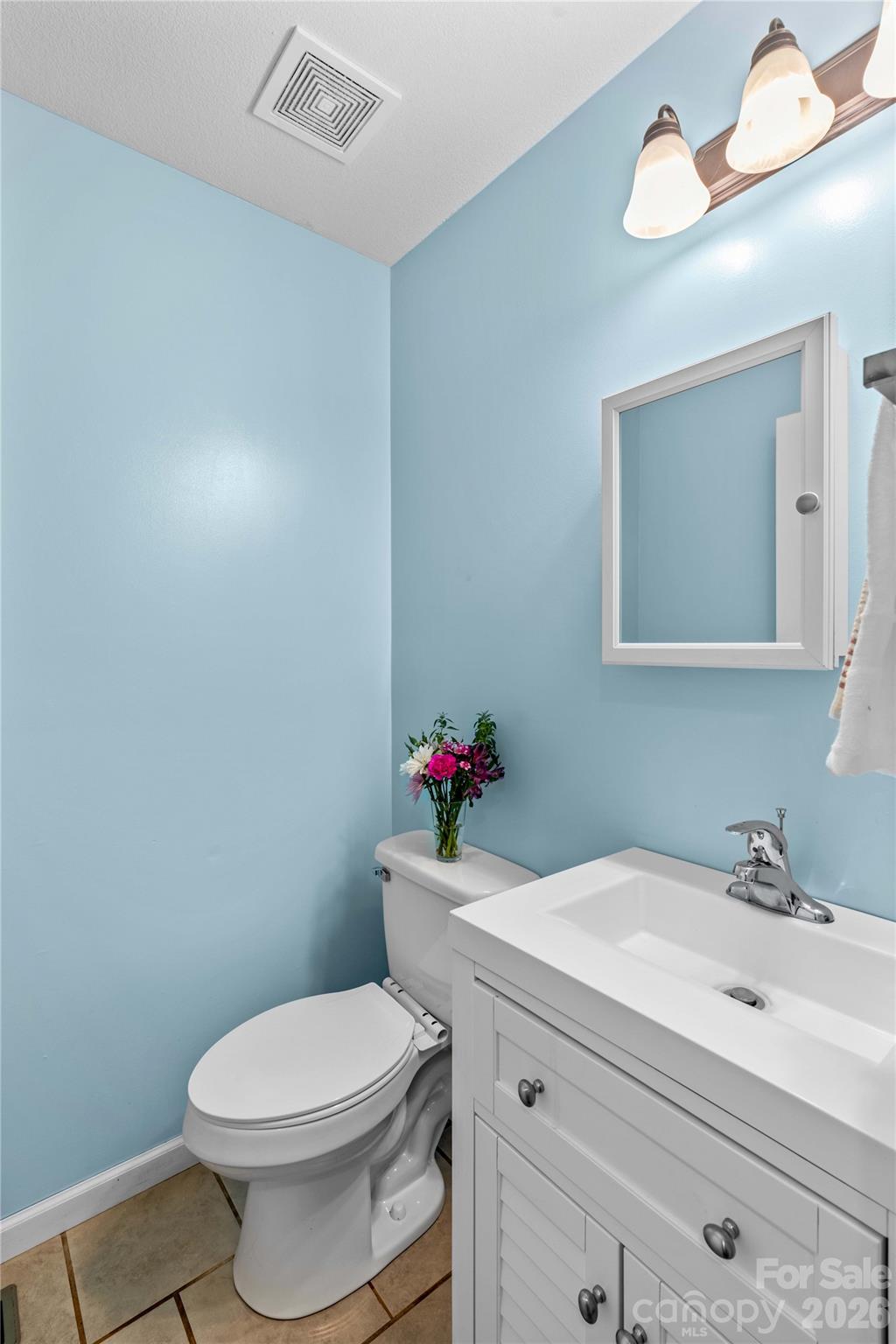 1026 Blue Ridge Ventures Morganton, NC 28655 - Photo 21 of 28 a bathroom with a sink mirror vanity and toilet