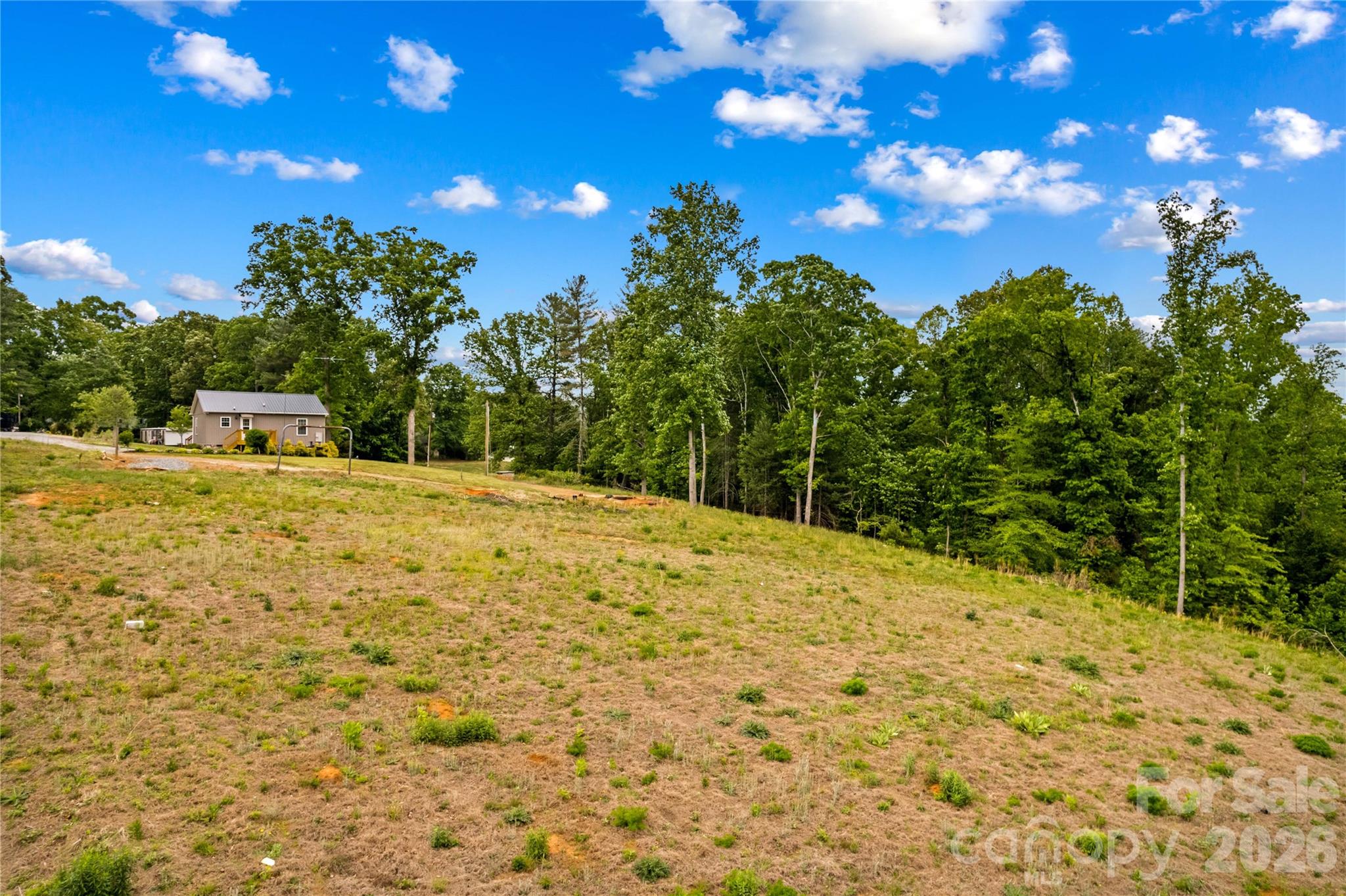 1026 Blue Ridge Ventures Morganton, NC 28655 - Photo 25 of 28 a view of a yard with yellow house