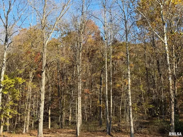 $389,900 | 880 South Rocky Comfort Road, Makanda, IL 62958