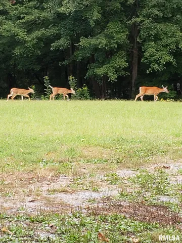 $389,900 | 880 South Rocky Comfort Road, Makanda, IL 62958