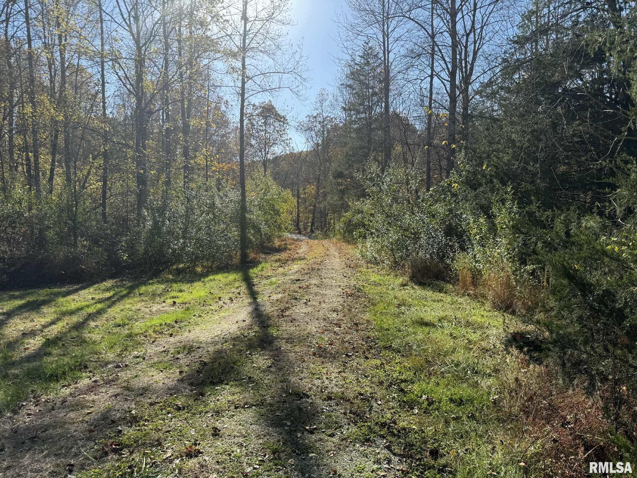 880 South Rocky Comfort Road Makanda, IL 62958 - Photo 6 of 21