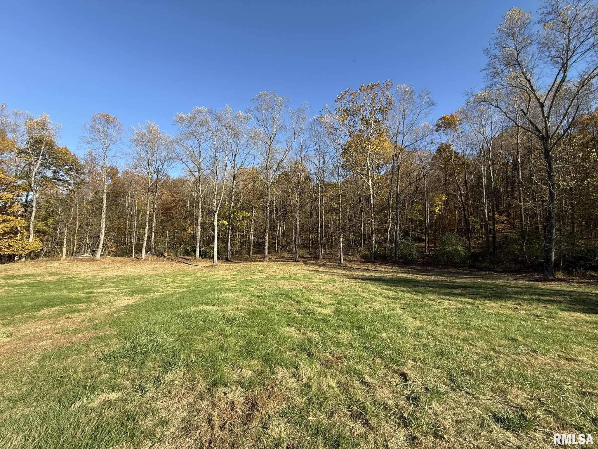 880 South Rocky Comfort Road Makanda, IL 62958 - Photo 8 of 21