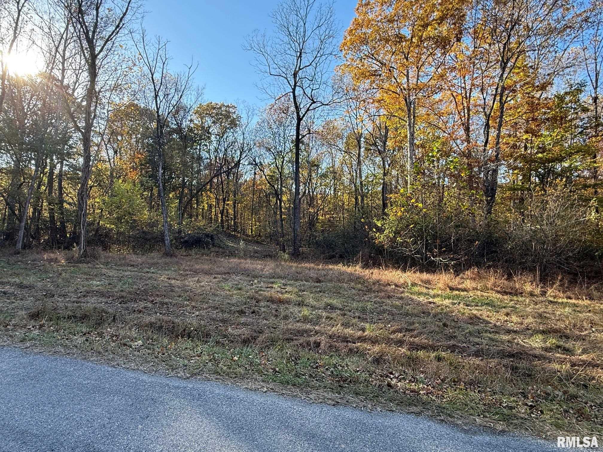 880 South Rocky Comfort Road Makanda, IL 62958 - Photo 9 of 21