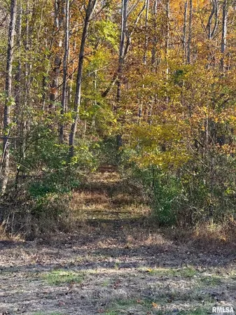 $389,900 | 880 South Rocky Comfort Road, Makanda, IL 62958