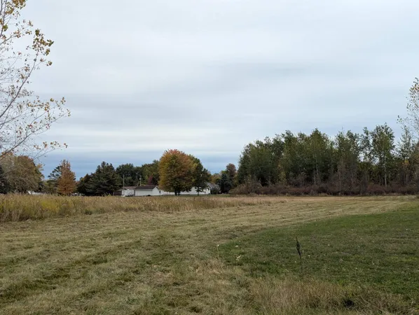 $49,500 | N/a Court Street, Au Gres, MI 48703