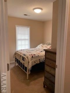 1459 Albemarle Beach Road Roper, NC 27970 - Photo 34 of 40