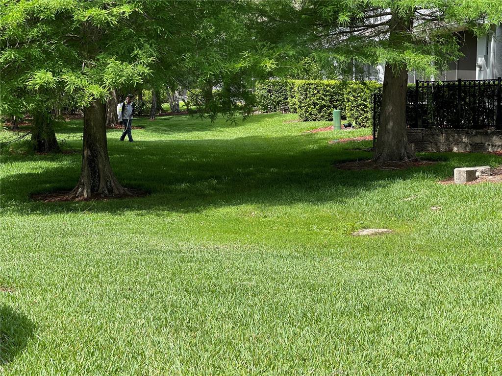 803 Shropshire Loop Sanford, FL 32771 - Photo 3 of 29 a view of backyard with green space
